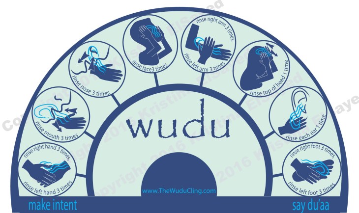 cling revamp 7 Web Graphic